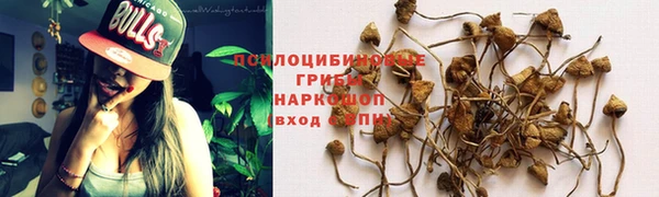 бошки Заволжск